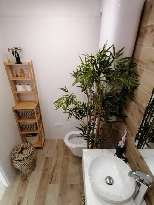 Superbe Studio Ethnique Apartment Hyères Екстериор снимка