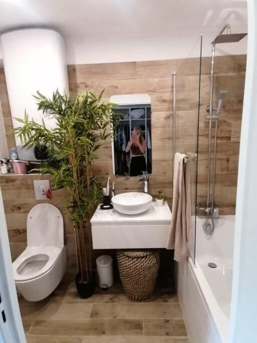 Superbe Studio Ethnique Apartment Hyères Екстериор снимка